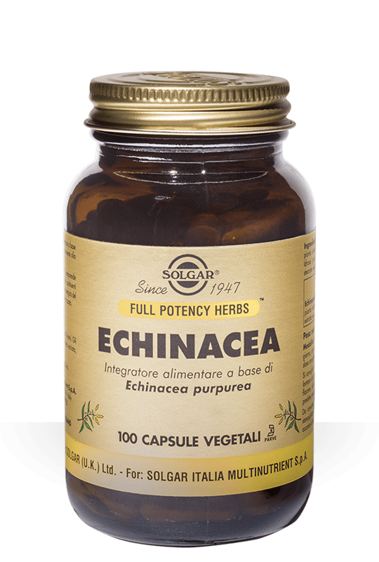 ECHINACEA